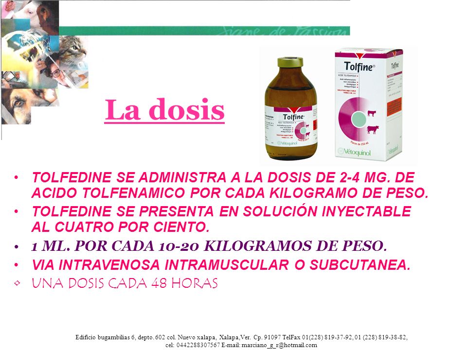 La dosis TOLFEDINE SE ADMINISTRA A LA DOSIS DE 2-4 MG. DE ACIDO TOLFENAMICO POR CADA KILOGRAMO DE PESO.