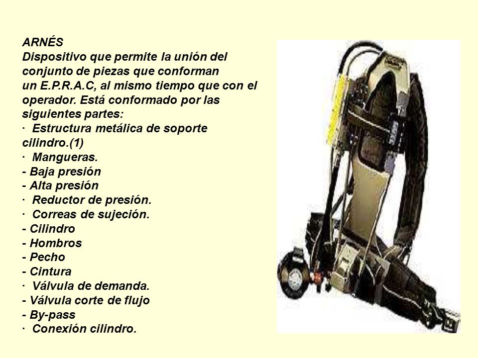 ARNÉS Dispositivo que permite la unión del conjunto de piezas que conforman.