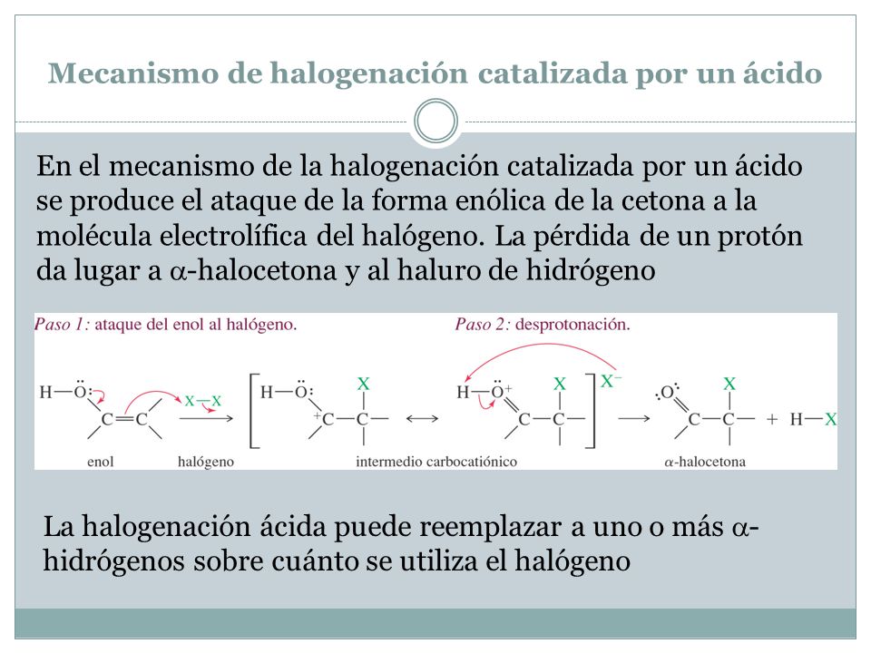 Mecanismo de halogenación catalizada por un ácido