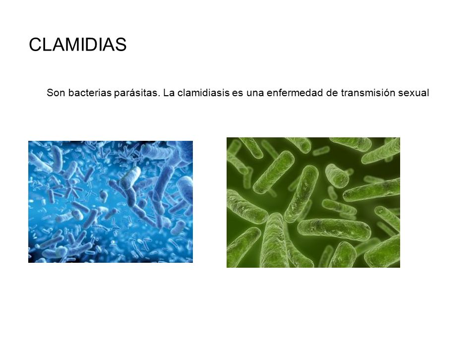 CLAMIDIAS Son bacterias parásitas. La clamidiasis es una enfermedad de transmisión sexual