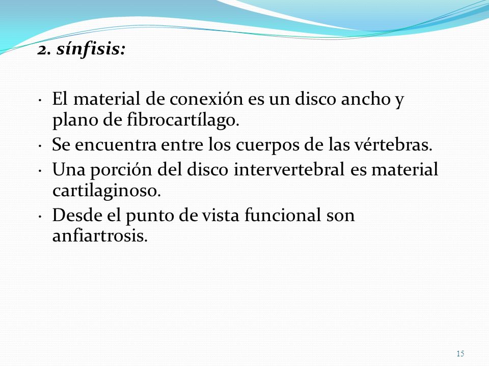2. sínfisis: · El material de conexión es un disco ancho y plano de fibrocartílago.
