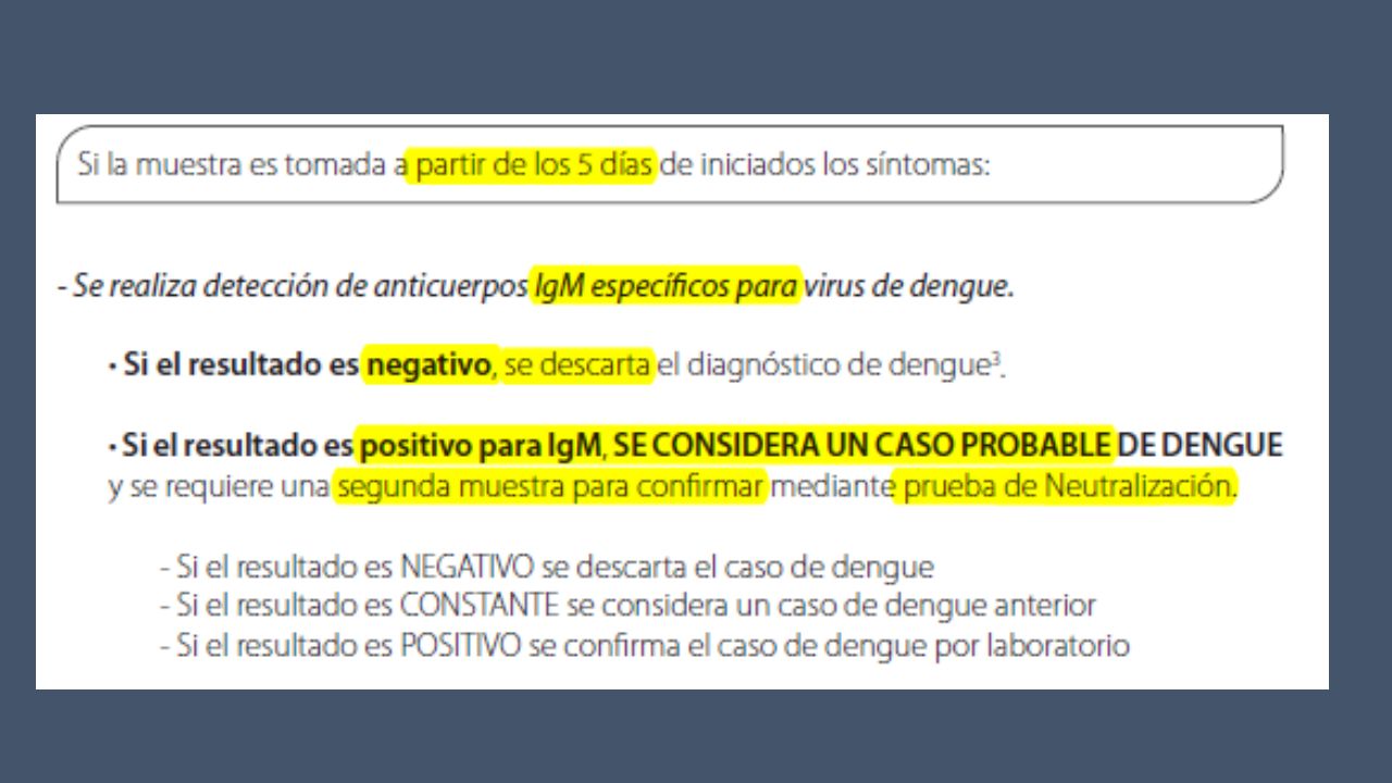 NS1 GLICOPROTEINA SECRETADA, NO DISTINGUE SEROTIPO