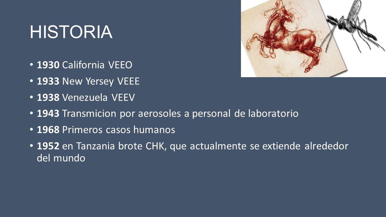 HISTORIA 1930 California VEEO 1933 New Yersey VEEE 1938 Venezuela VEEV