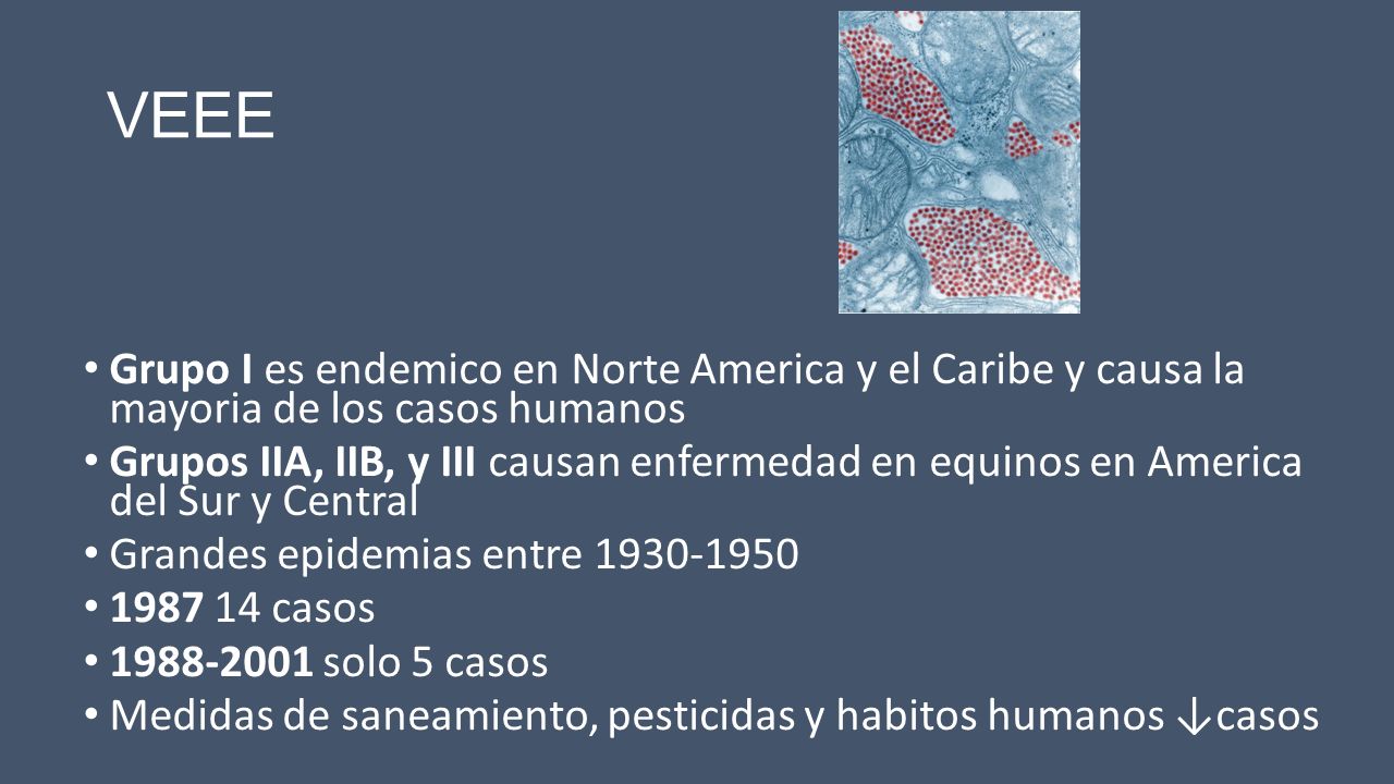 VEEE Grupo I es endemico en Norte America y el Caribe y causa la mayoria de los casos humanos.