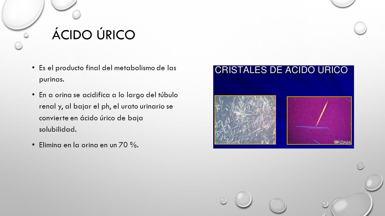 Ácido úrico Es el producto final del metabolismo de las purinas.