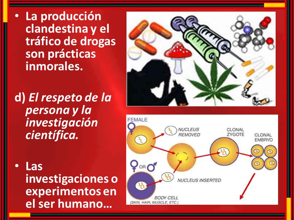 La producción clandestina y el tráfico de drogas son prácticas inmorales.