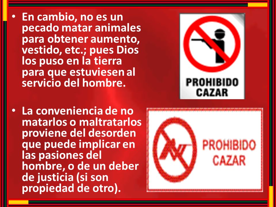 En cambio, no es un pecado matar animales para obtener aumento, vestido, etc.; pues Dios los puso en la tierra para que estuviesen al servicio del hombre.