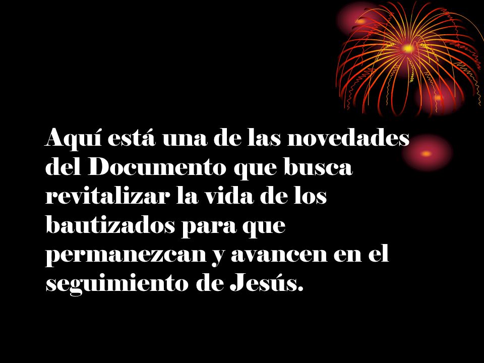 Aquí está una de las novedades del Documento que busca revitalizar la vida de los bautizados para que permanezcan y avancen en el seguimiento de Jesús.
