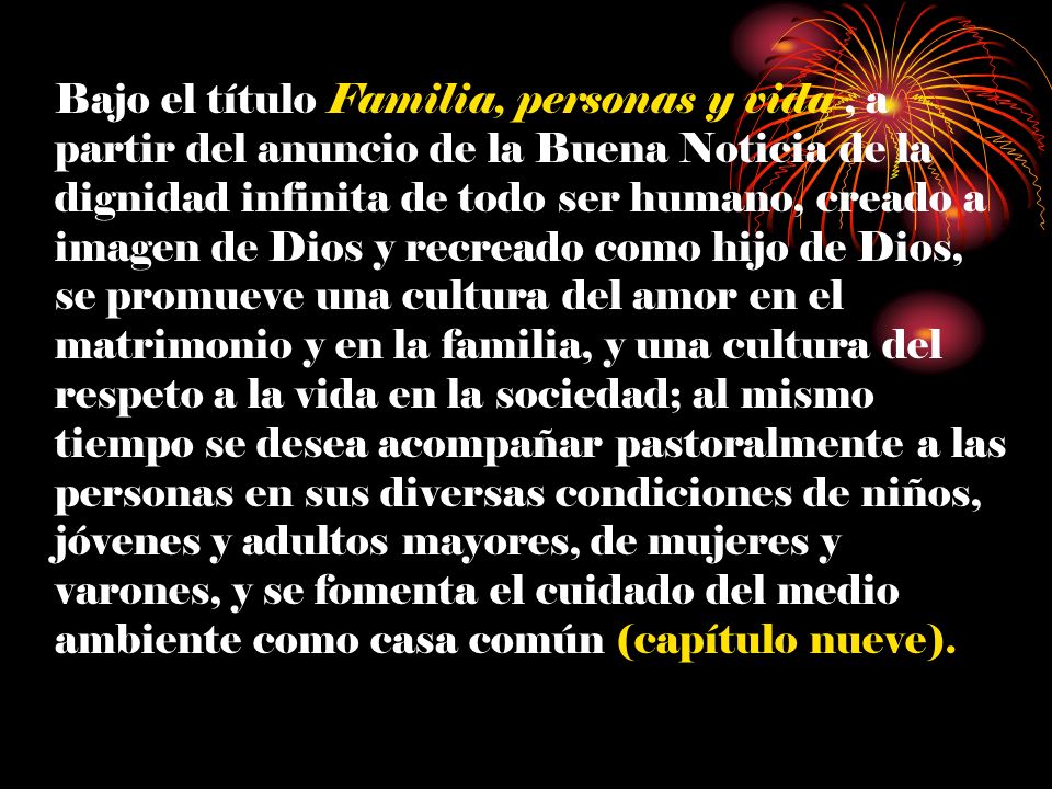 Bajo el título Familia, personas y vida , a partir del anuncio de la Buena Noticia de la dignidad infinita de todo ser humano, creado a imagen de Dios y recreado como hijo de Dios, se promueve una cultura del amor en el matrimonio y en la familia, y una cultura del respeto a la vida en la sociedad; al mismo tiempo se desea acompañar pastoralmente a las personas en sus diversas condiciones de niños, jóvenes y adultos mayores, de mujeres y varones, y se fomenta el cuidado del medio ambiente como casa común (capítulo nueve).