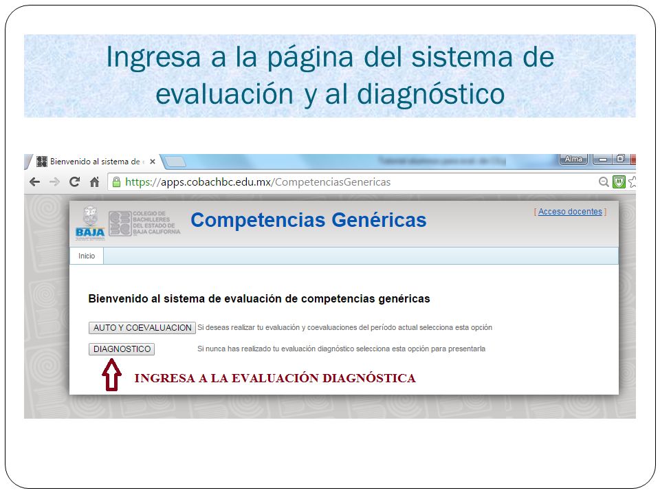 Ingresa a la página del sistema de evaluación y al diagnóstico