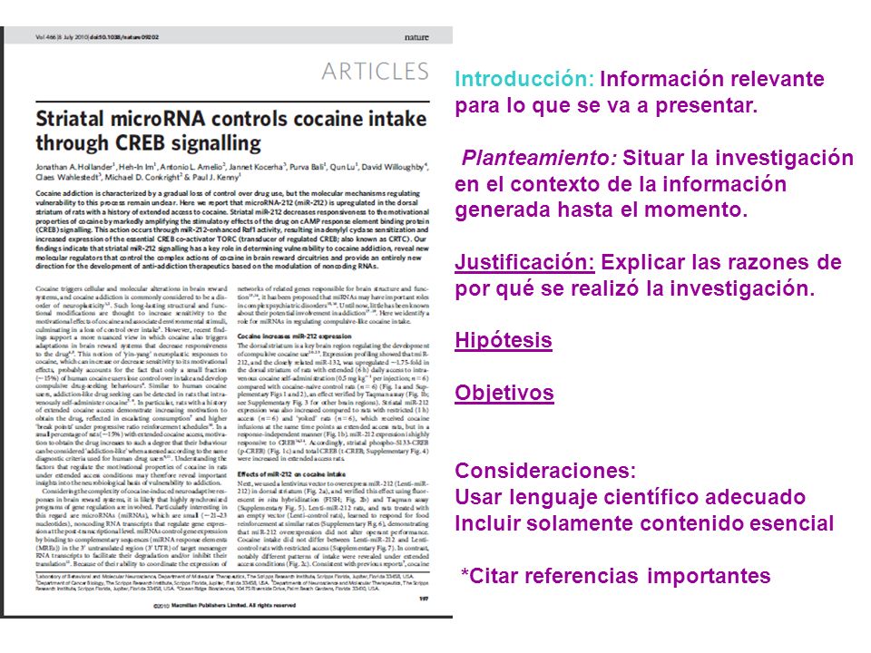 Introducción: Información relevante para lo que se va a presentar.