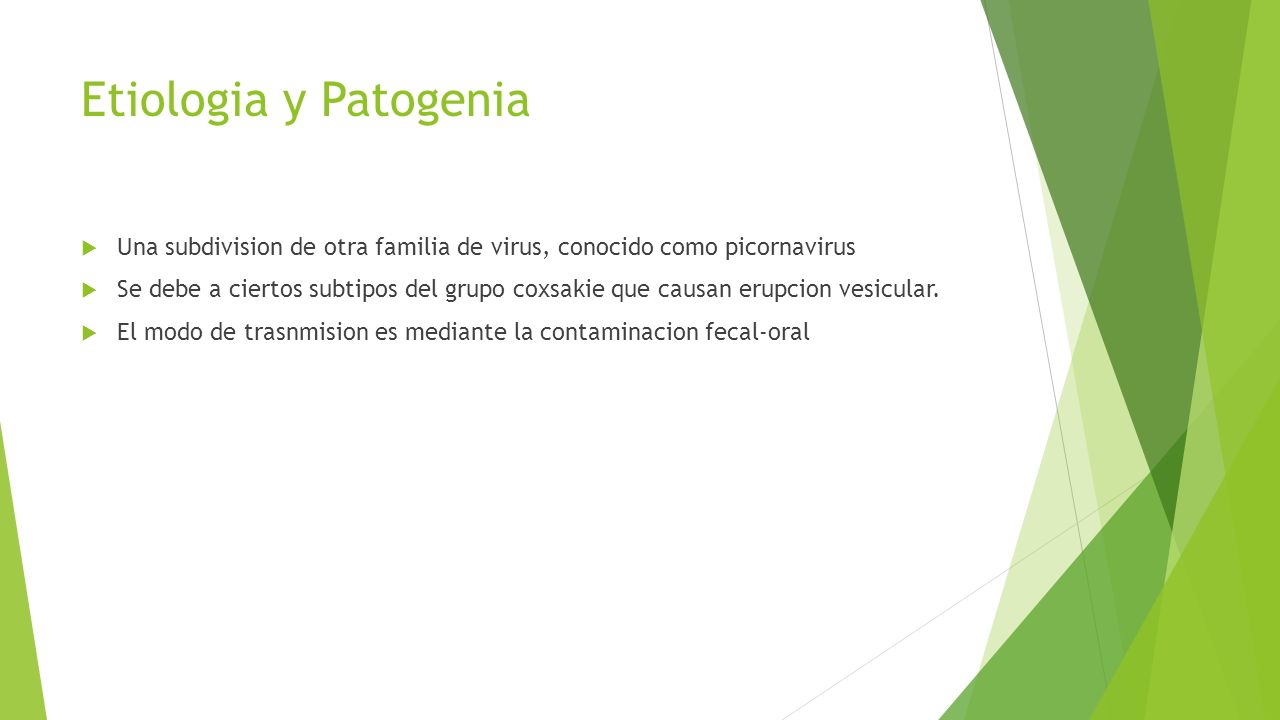Etiologia y Patogenia Una subdivision de otra familia de virus, conocido como picornavirus.