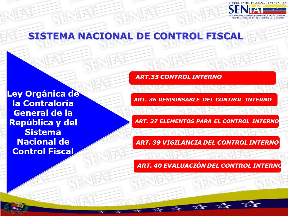 SISTEMA NACIONAL DE CONTROL FISCAL