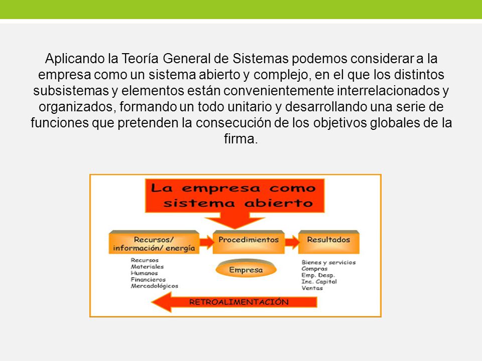 Aplicando la Teoría General de Sistemas podemos considerar a la empresa como un sistema abierto y complejo, en el que los distintos subsistemas y elementos están convenientemente interrelacionados y organizados, formando un todo unitario y desarrollando una serie de funciones que pretenden la consecución de los objetivos globales de la firma.
