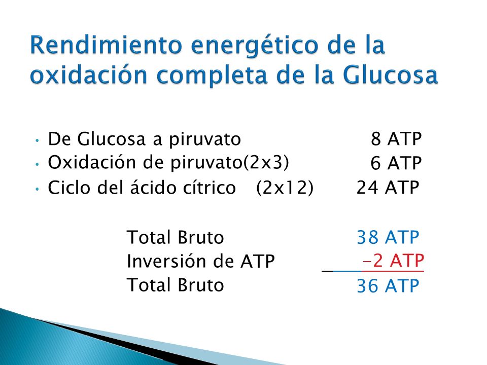 8 ATP 6 ATP 24 ATP (2x12) Total Bruto Inversión de 38 ATP -2 ATP ATP