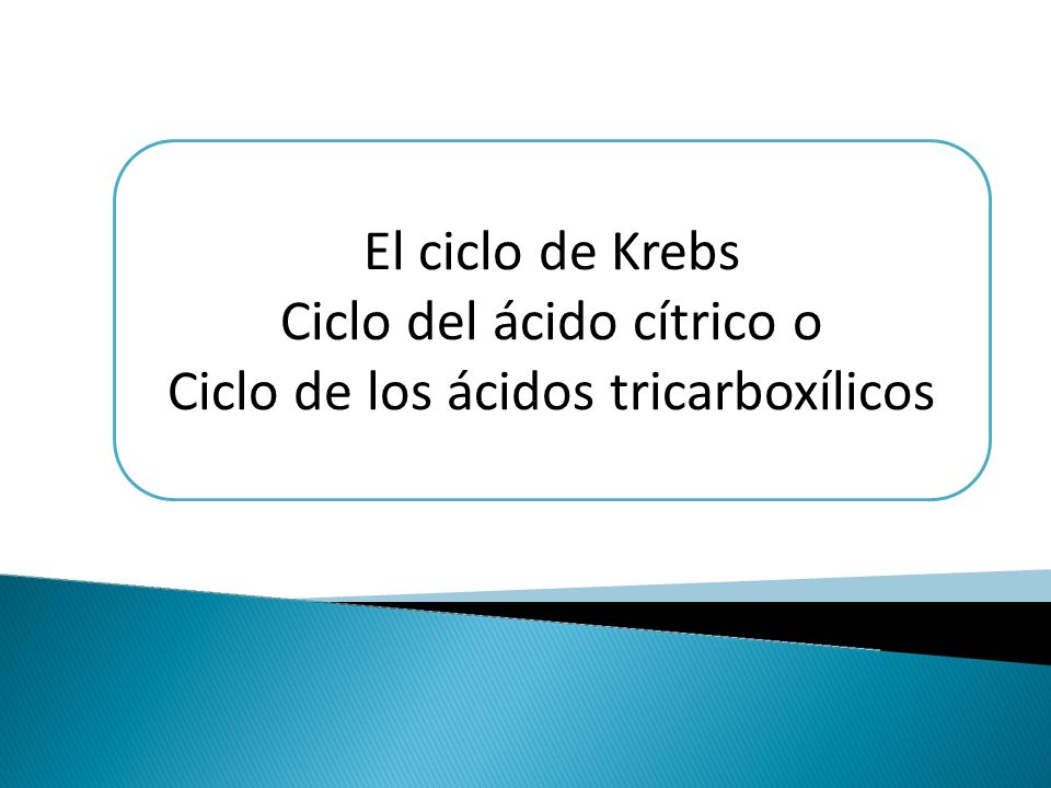 Ciclo del ácido cítrico o Ciclo de los ácidos tricarboxílicos