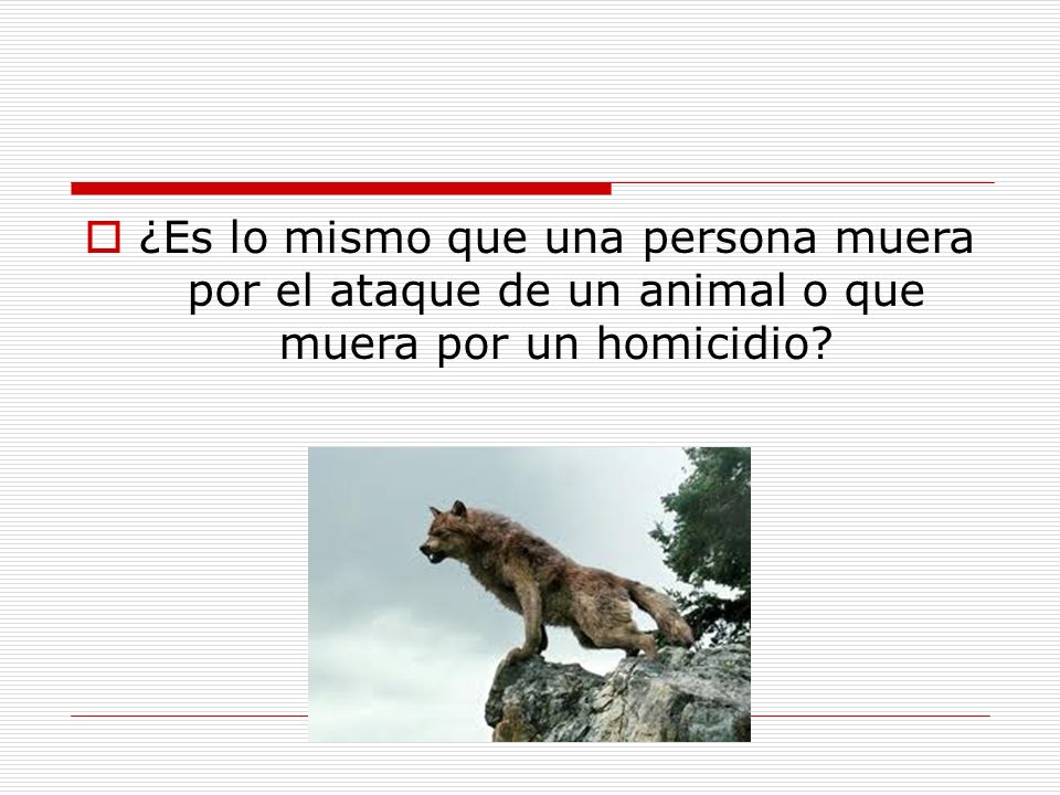 ¿Es lo mismo que una persona muera por el ataque de un animal o que muera por un homicidio