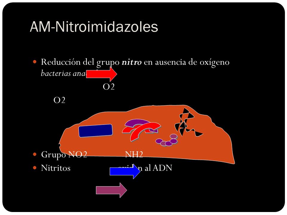 AM-Nitroimidazoles Reducción del grupo nitro en ausencia de oxígeno bacterias anaerobias.