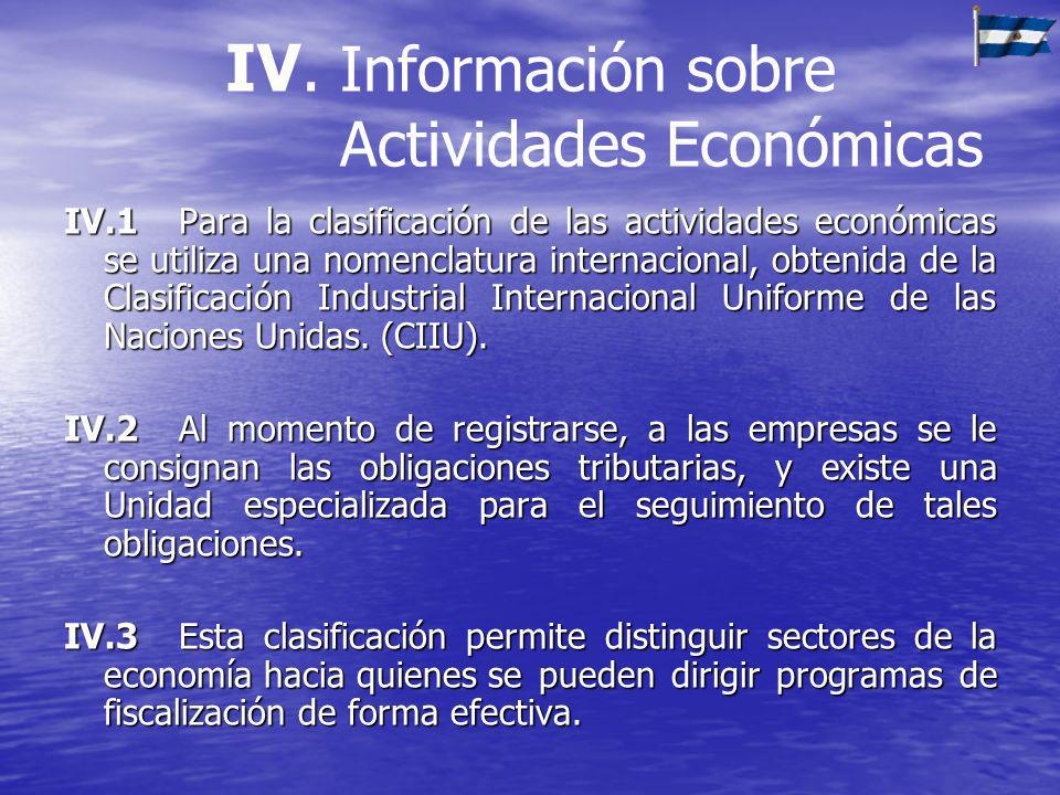 IV. Información sobre Actividades Económicas