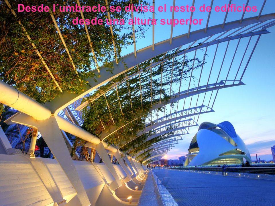 Desde l´umbracle se divisa el resto de edificios desde una altura superior
