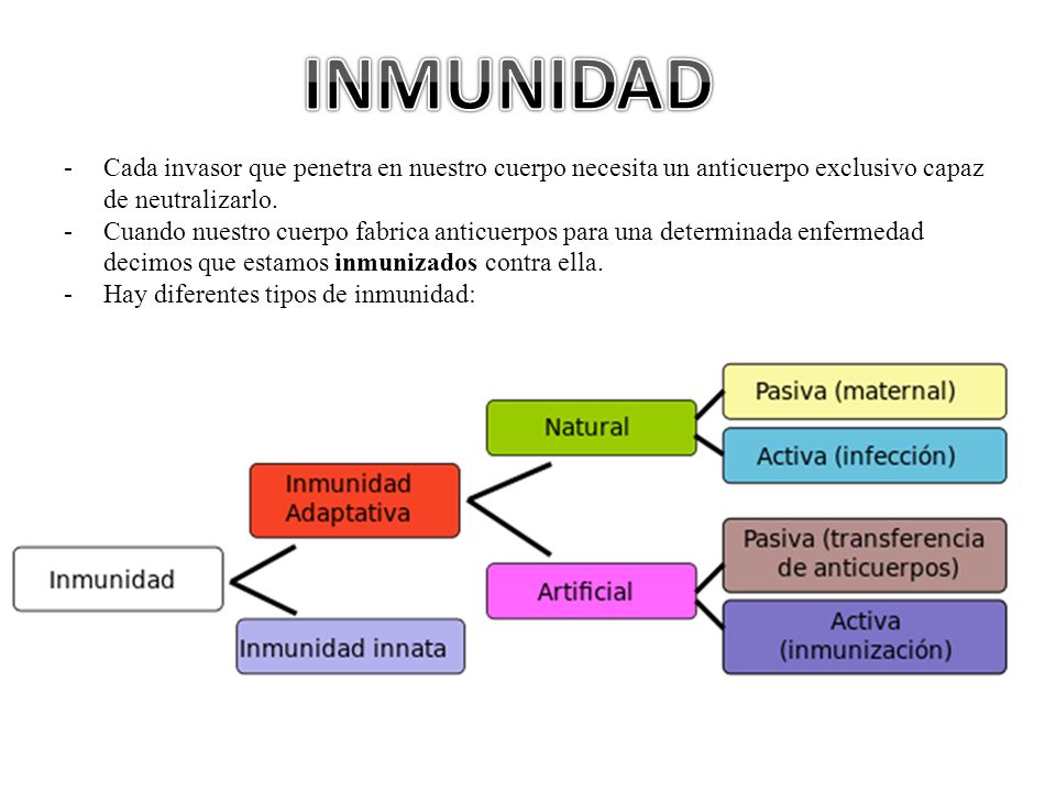 INMUNIDAD Cada invasor que penetra en nuestro cuerpo necesita un anticuerpo exclusivo capaz de neutralizarlo.