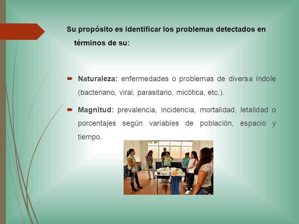 Su propósito es identificar los problemas detectados en términos de su: