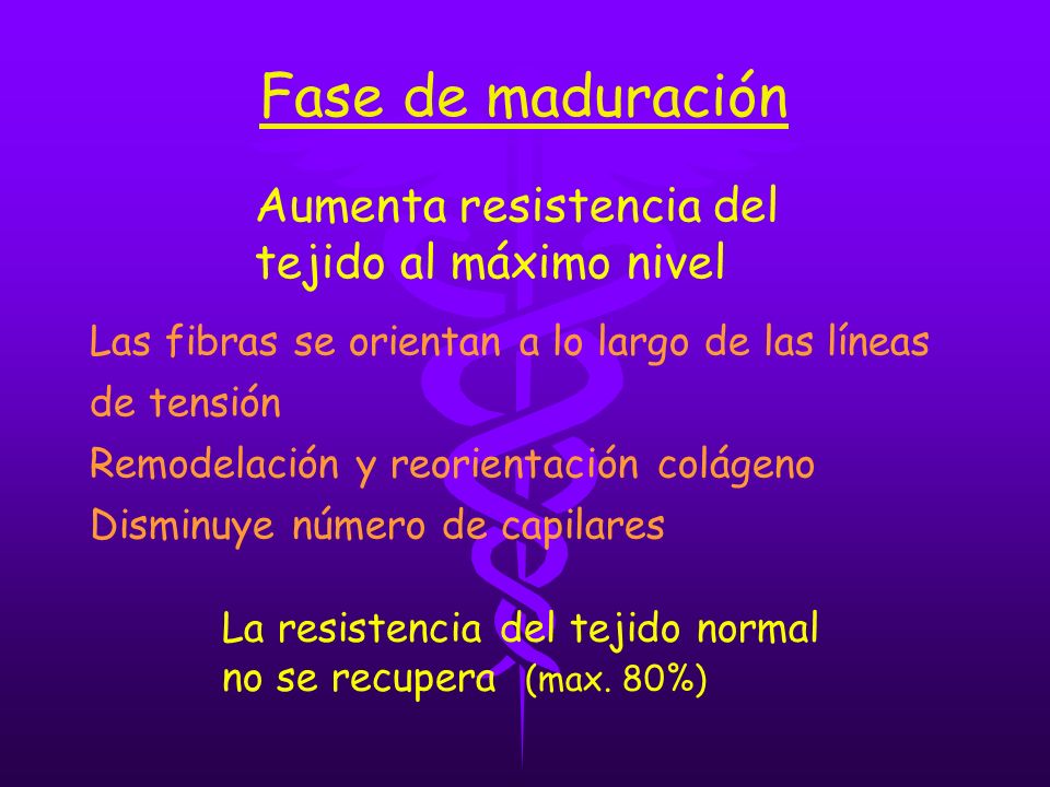 Fase de maduración Aumenta resistencia del tejido al máximo nivel