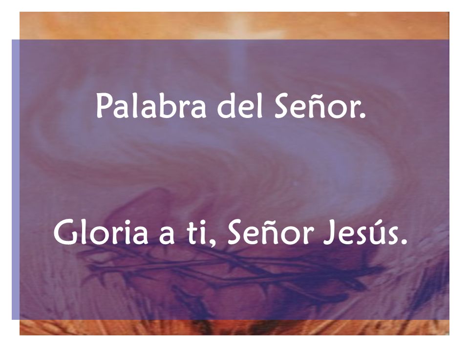 Palabra del Señor. Gloria a ti, Señor Jesús.
