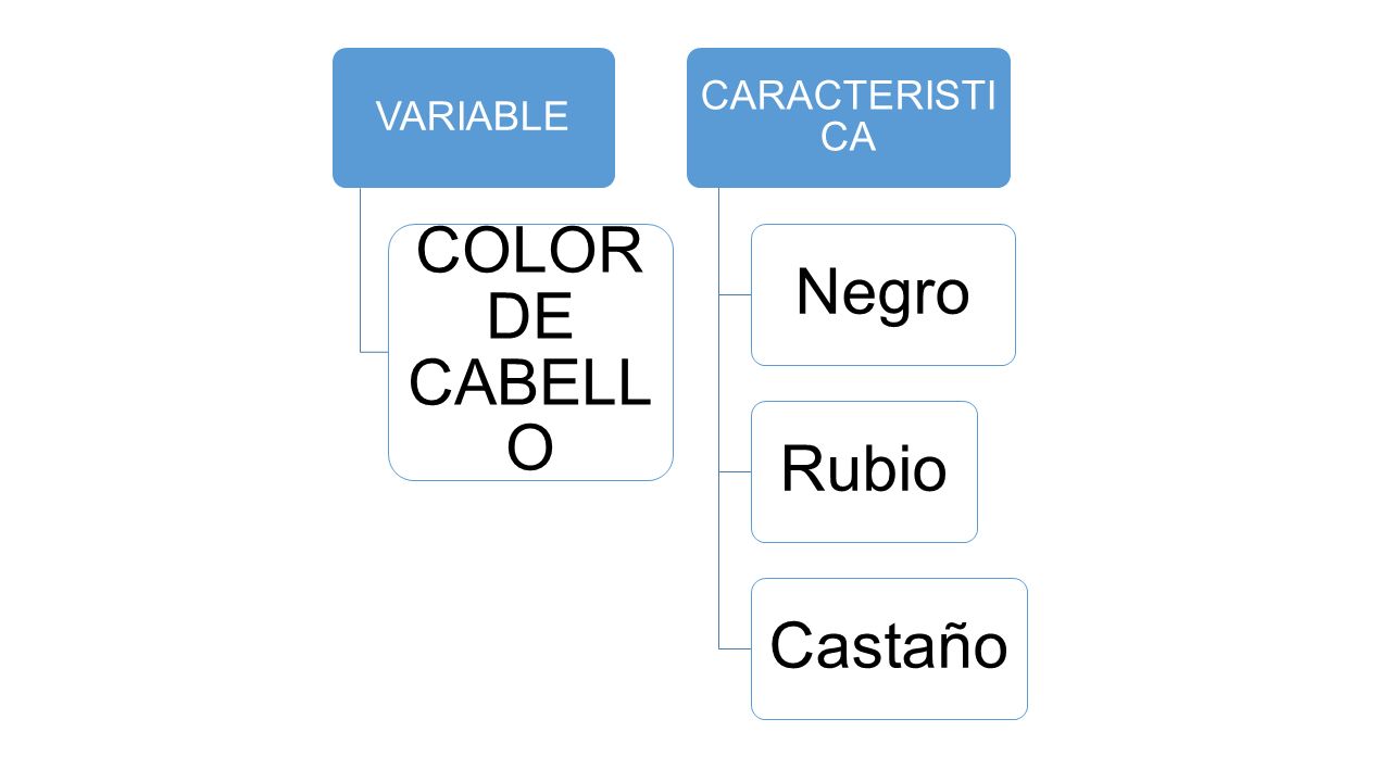 VARIABLE COLOR DE CABELLO CARACTERISTICA Negro Rubio Castaño