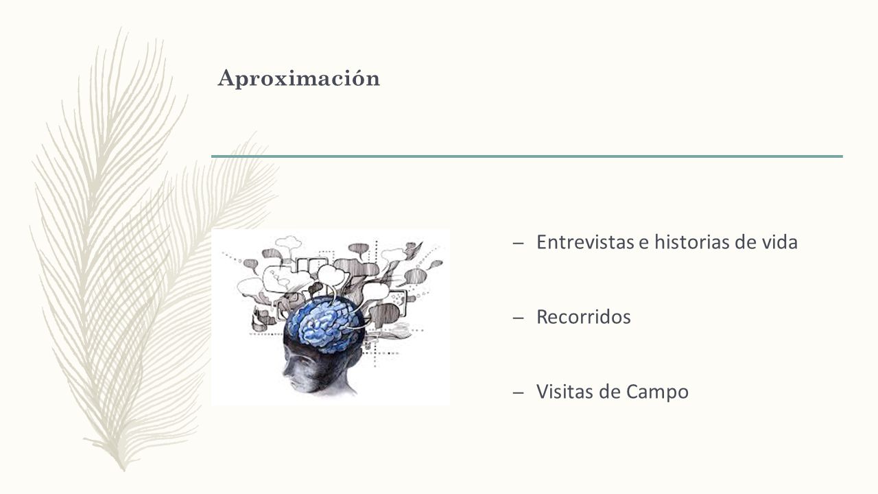 Aproximación Entrevistas e historias de vida Recorridos Visitas de Campo
