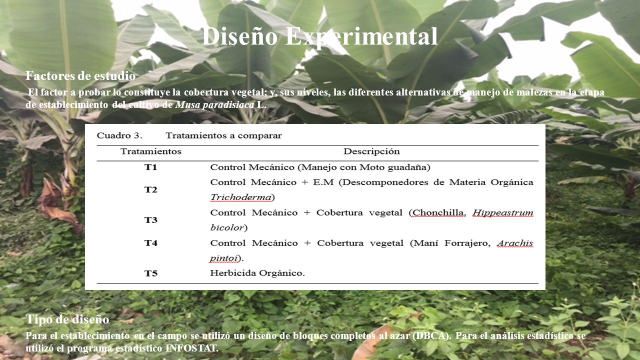 Diseño Experimental Factores de estudio Tipo de diseño