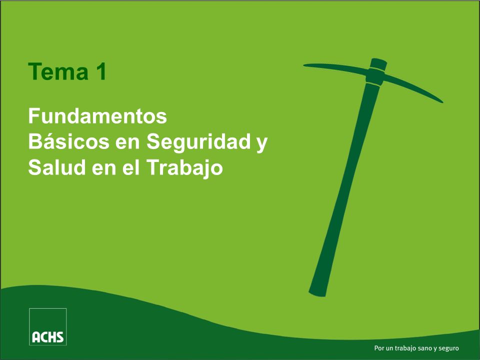 Tema 1 Fundamentos Básicos en Seguridad y Salud en el Trabajo