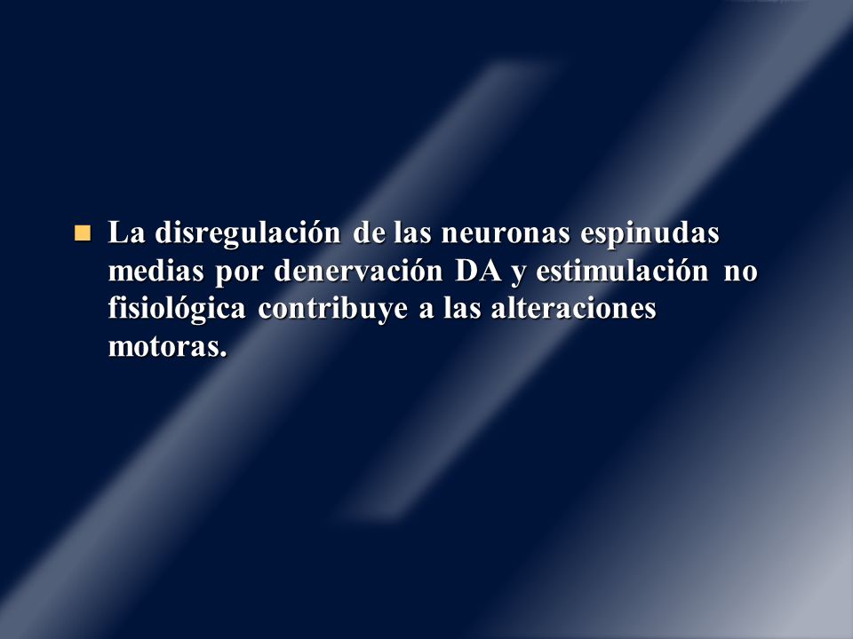 La disregulación de las neuronas espinudas medias por denervación DA y estimulación no fisiológica contribuye a las alteraciones motoras.