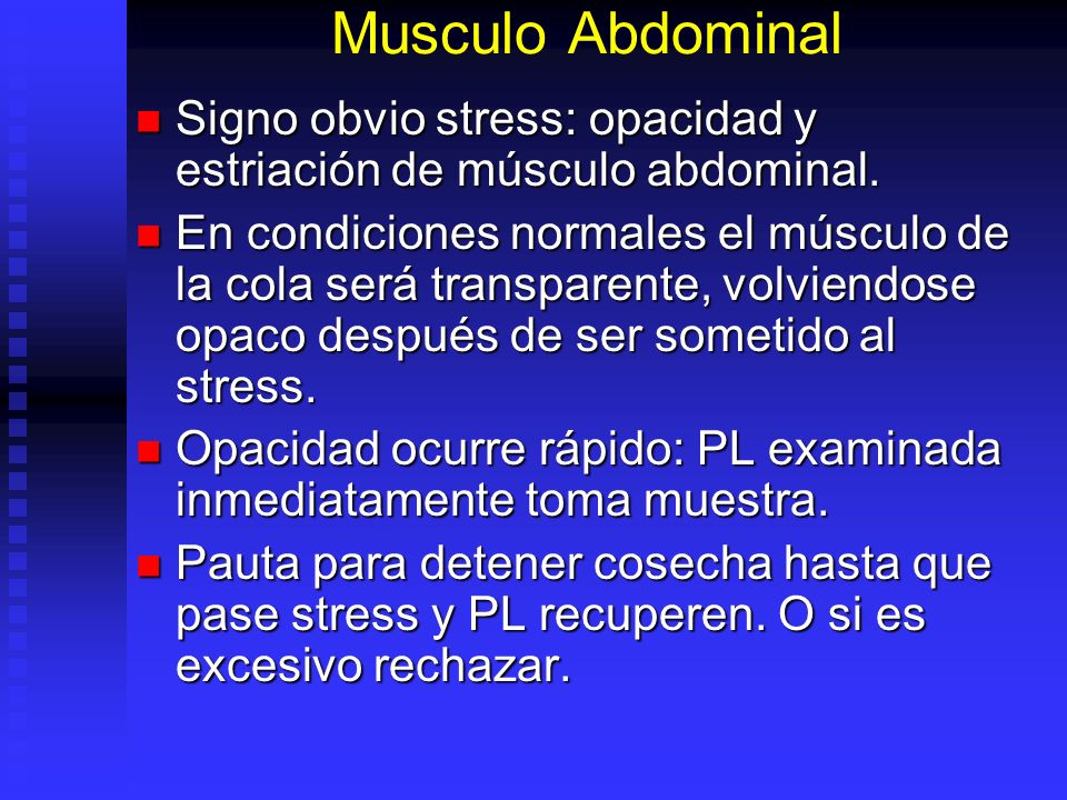 Musculo Abdominal Signo obvio stress: opacidad y estriación de músculo abdominal.