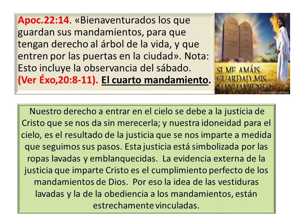 Apoc.22:14. «Bienaventurados los que guardan sus mandamientos, para que tengan derecho al árbol de la vida, y que entren por las puertas en la ciudad». Nota: Esto incluye la observancia del sábado. (Ver Éxo,20:8-11). El cuarto mandamiento.