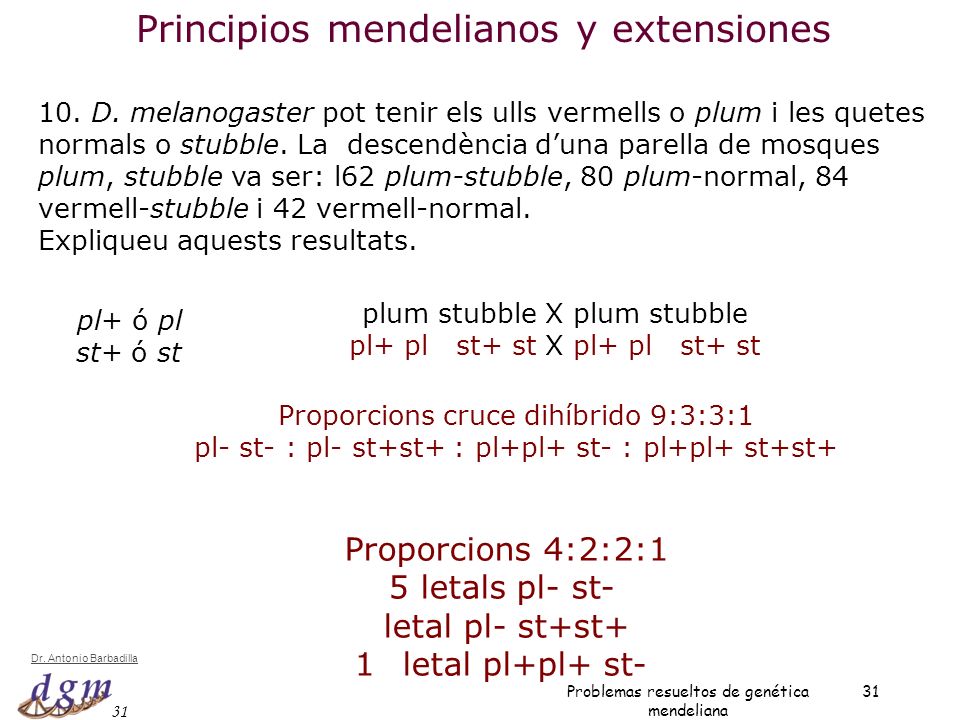Principios mendelianos y extensiones
