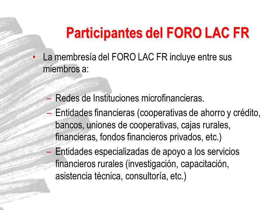 Participantes del FORO LAC FR