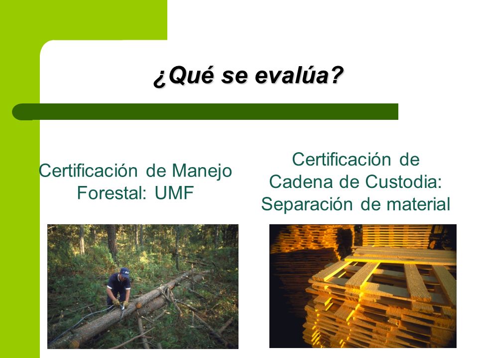 ¿Qué se evalúa. Certificación de Cadena de Custodia: Separación de material.
