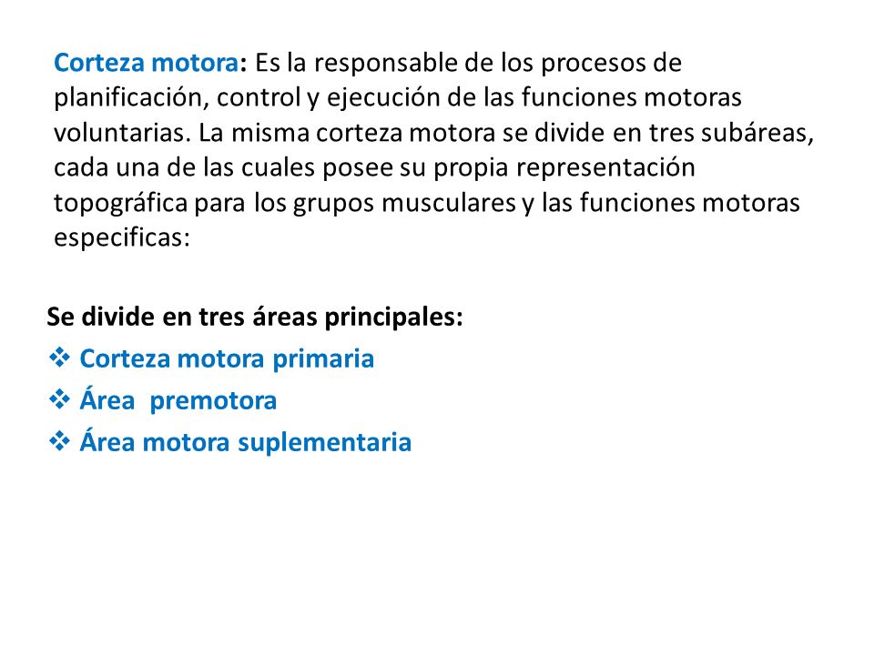 Corteza motora: Es la responsable de los procesos de planificación, control y ejecución de las funciones motoras voluntarias. La misma corteza motora se divide en tres subáreas, cada una de las cuales posee su propia representación topográfica para los grupos musculares y las funciones motoras especificas: