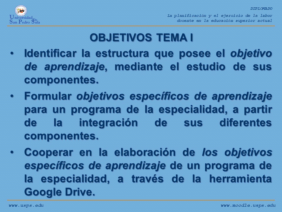 DIPLOMADO La planificación y el ejercicio de la labor. docente en la educación superior actual. OBJETIVOS TEMA I.