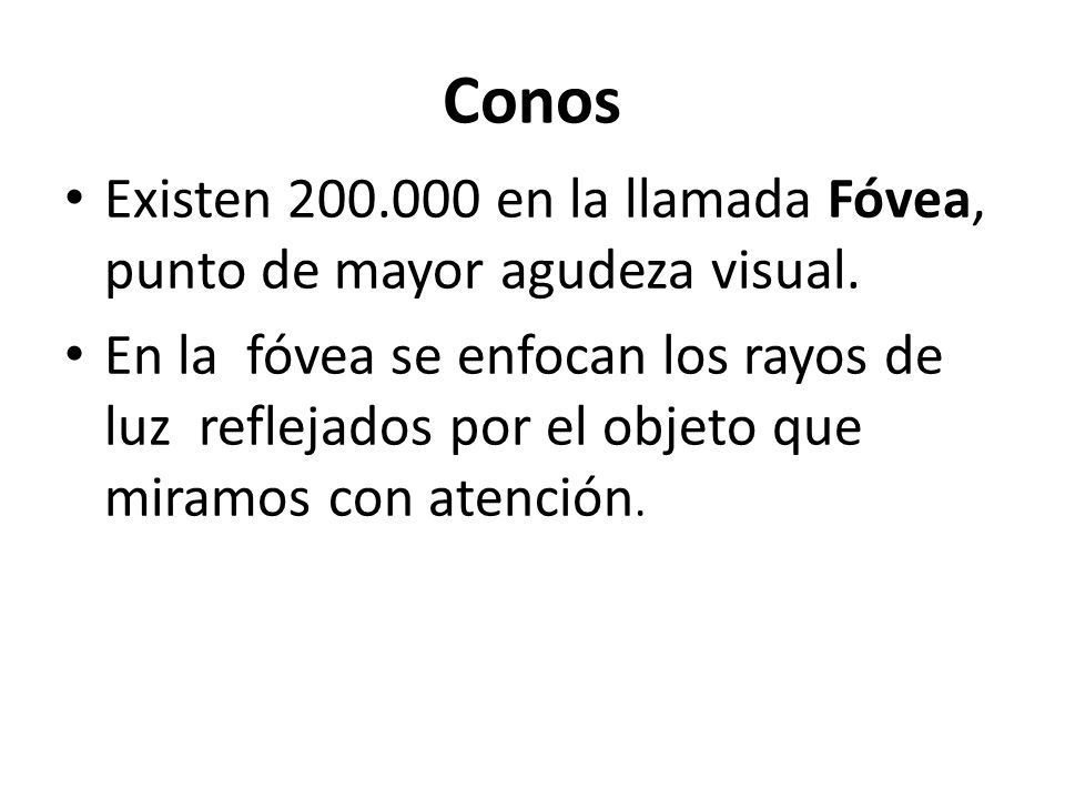 Conos Existen en la llamada Fóvea, punto de mayor agudeza visual.