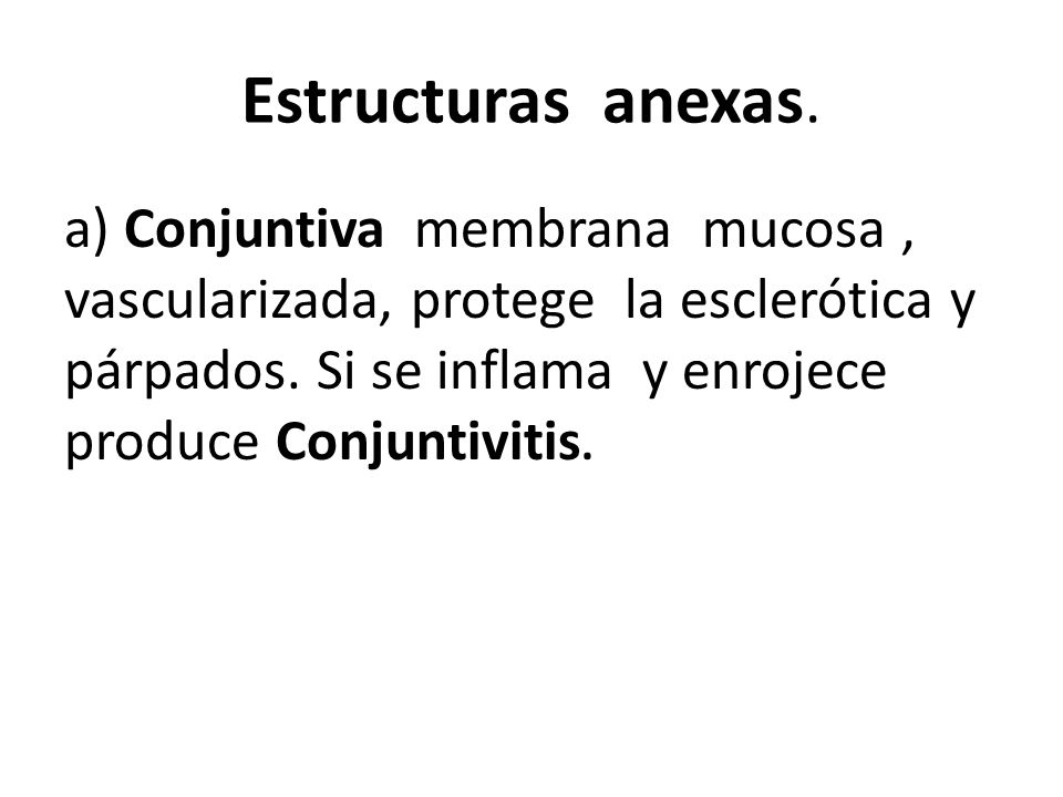 Estructuras anexas.