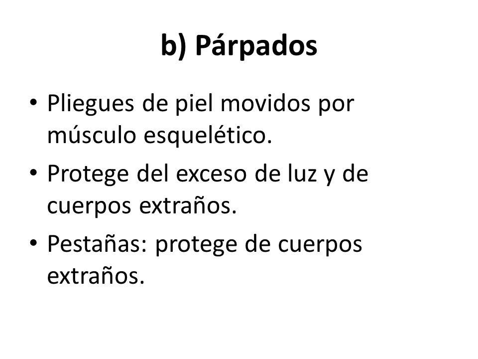 b) Párpados Pliegues de piel movidos por músculo esquelético.