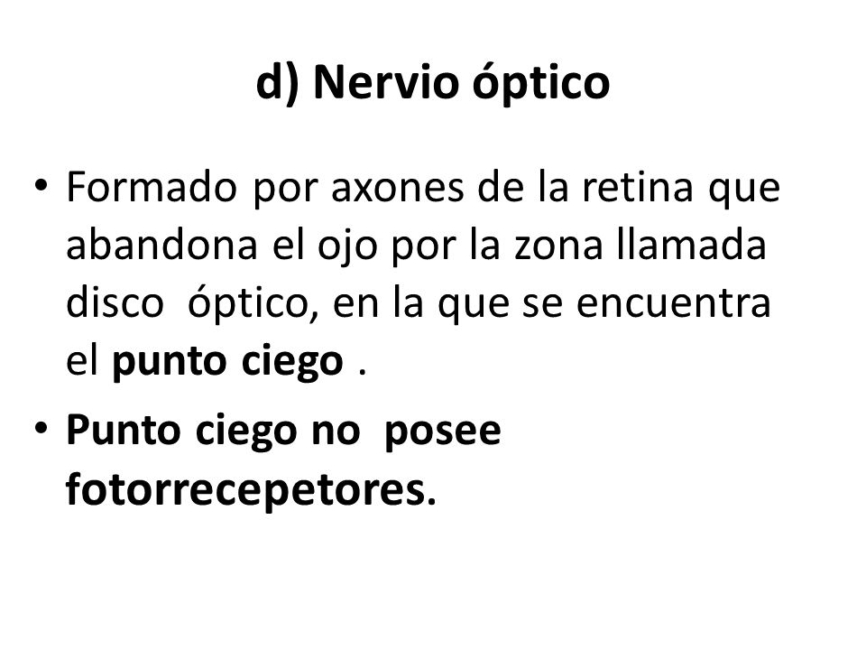 d) Nervio óptico Formado por axones de la retina que abandona el ojo por la zona llamada disco óptico, en la que se encuentra el punto ciego .