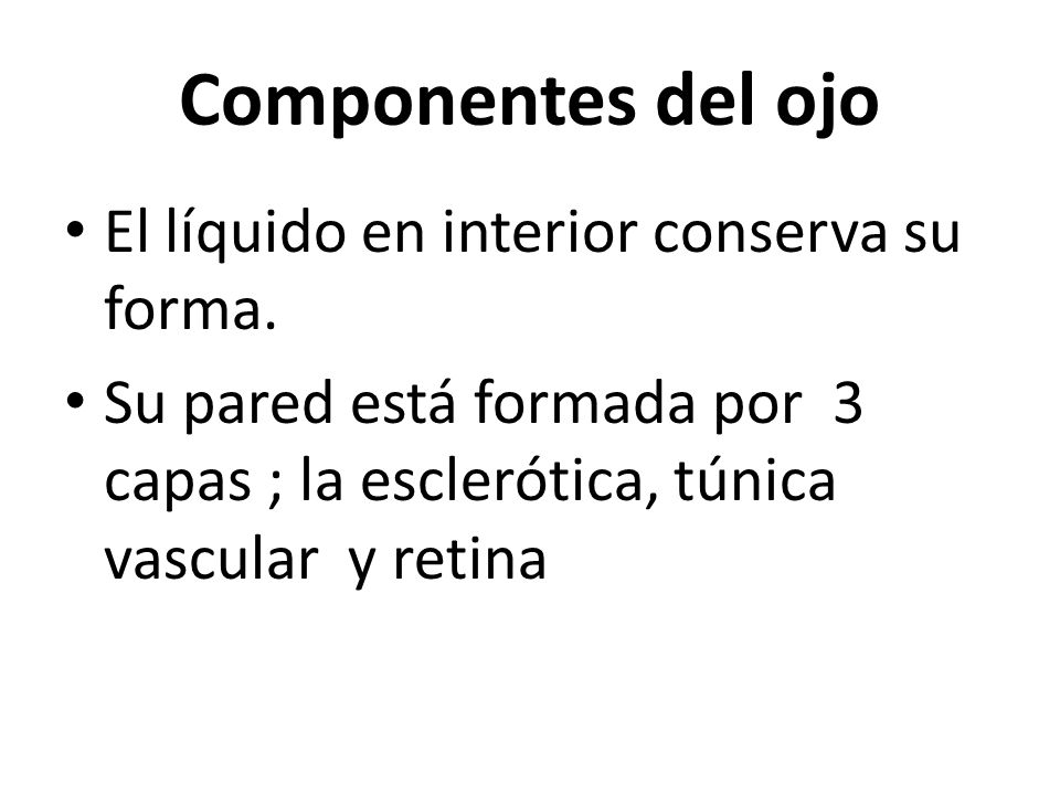 Componentes del ojo El líquido en interior conserva su forma.
