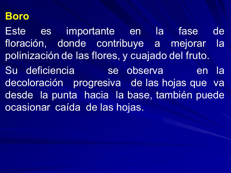 Boro Este es importante en la fase de floración, donde contribuye a mejorar la polinización de las flores, y cuajado del fruto.