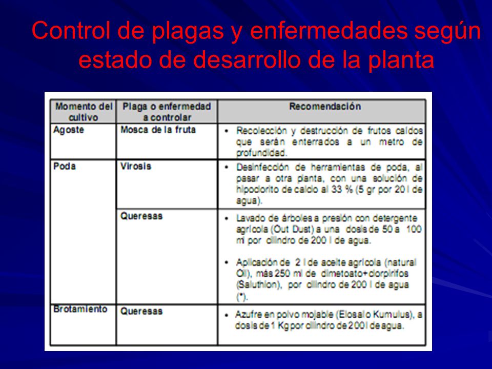 Control de plagas y enfermedades según estado de desarrollo de la planta