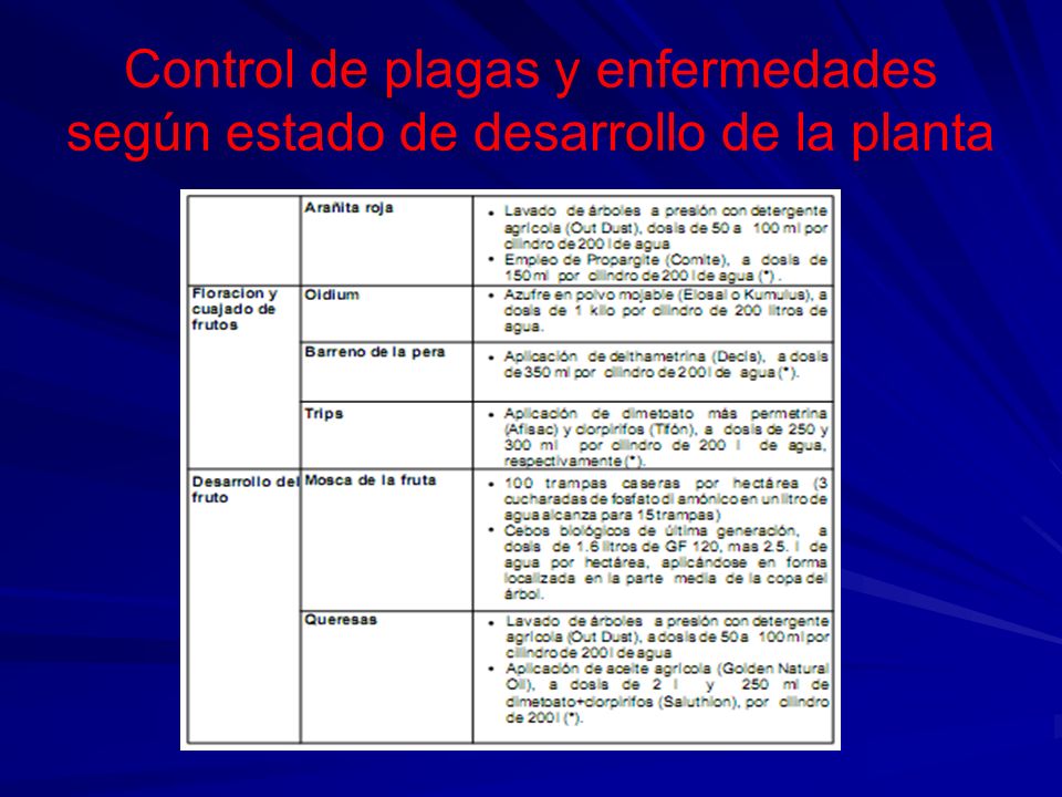 Control de plagas y enfermedades según estado de desarrollo de la planta