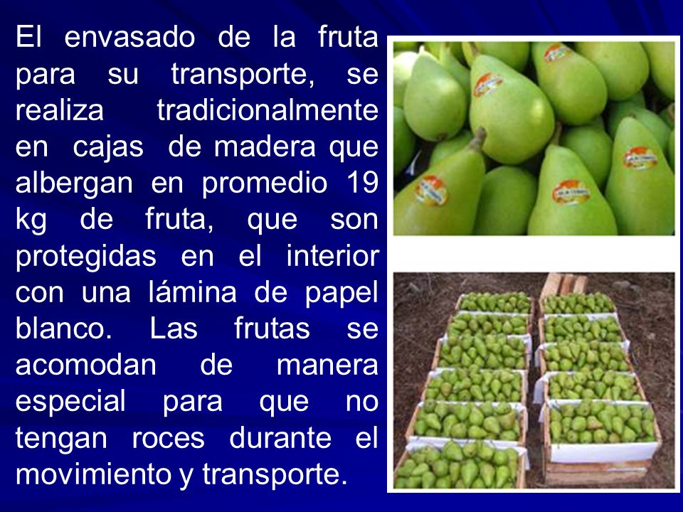 El envasado de la fruta para su transporte, se realiza tradicionalmente en cajas de madera que albergan en promedio 19 kg de fruta, que son protegidas en el interior con una lámina de papel blanco.