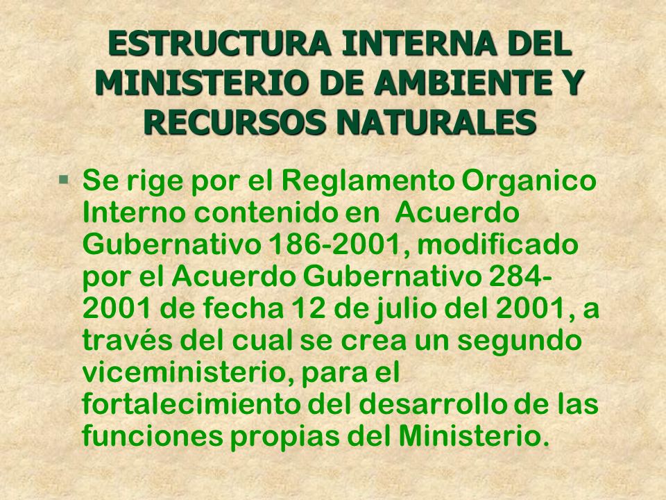 ESTRUCTURA INTERNA DEL MINISTERIO DE AMBIENTE Y RECURSOS NATURALES